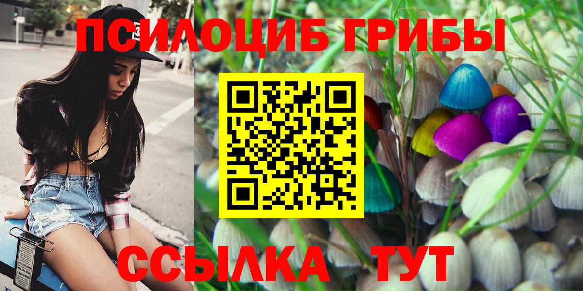 Галлюциногенные грибы Magic Shrooms  Псилоцибиновые грибы прущие грибы  Вход с VPN  Лесозаводск 